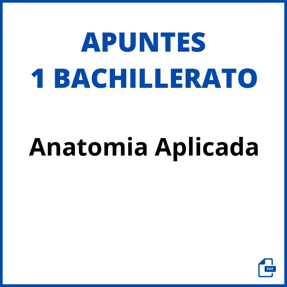 Anatomia Aplicada 1 Bachillerato Apuntes