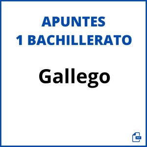 Apuntes Gallego 1 Bachillerato