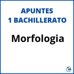 Apuntes Morfologia 1 Bachillerato