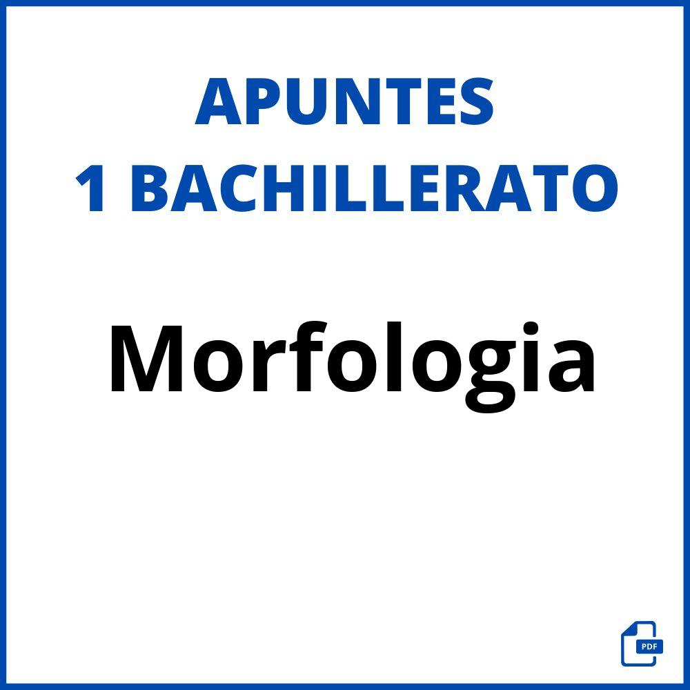 Apuntes Morfologia 1 Bachillerato