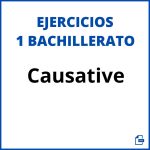 Causative Exercises 1 Bachillerato Pdf