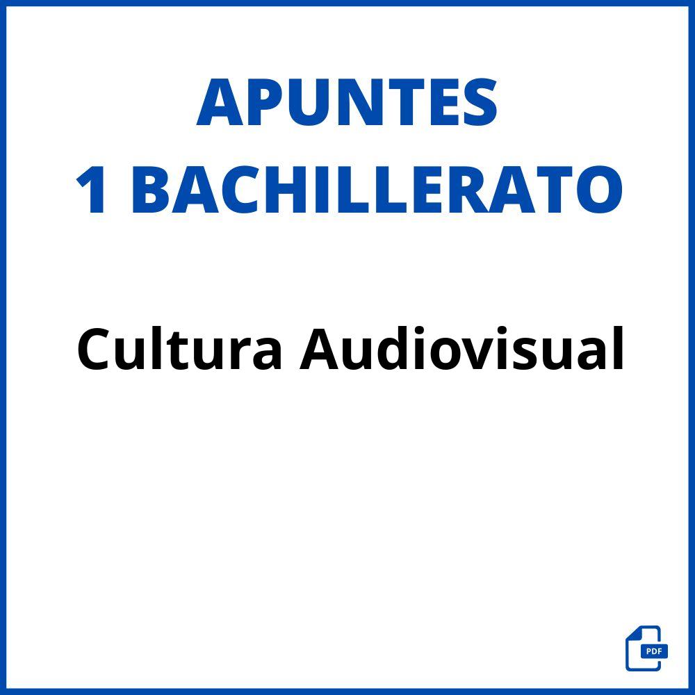 Cultura Audiovisual 1 Bachillerato Apuntes