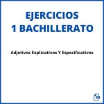 Ejercicios Adjetivos Explicativos Y Especificativos 1 Bachillerato