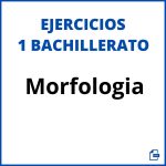 Ejercicios Morfologia 1 Bachillerato