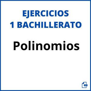 Ejercicios Polinomios 1 Bachillerato Pdf