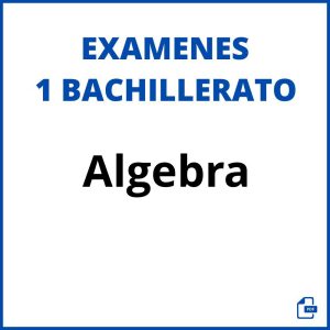 Examen de Algebra 1 Bachillerato Resueltos PDF