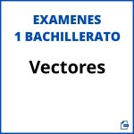 Examen Vectores 1 Bachillerato Pdf