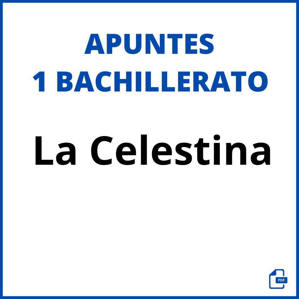 La Celestina Apuntes 1 Bachillerato