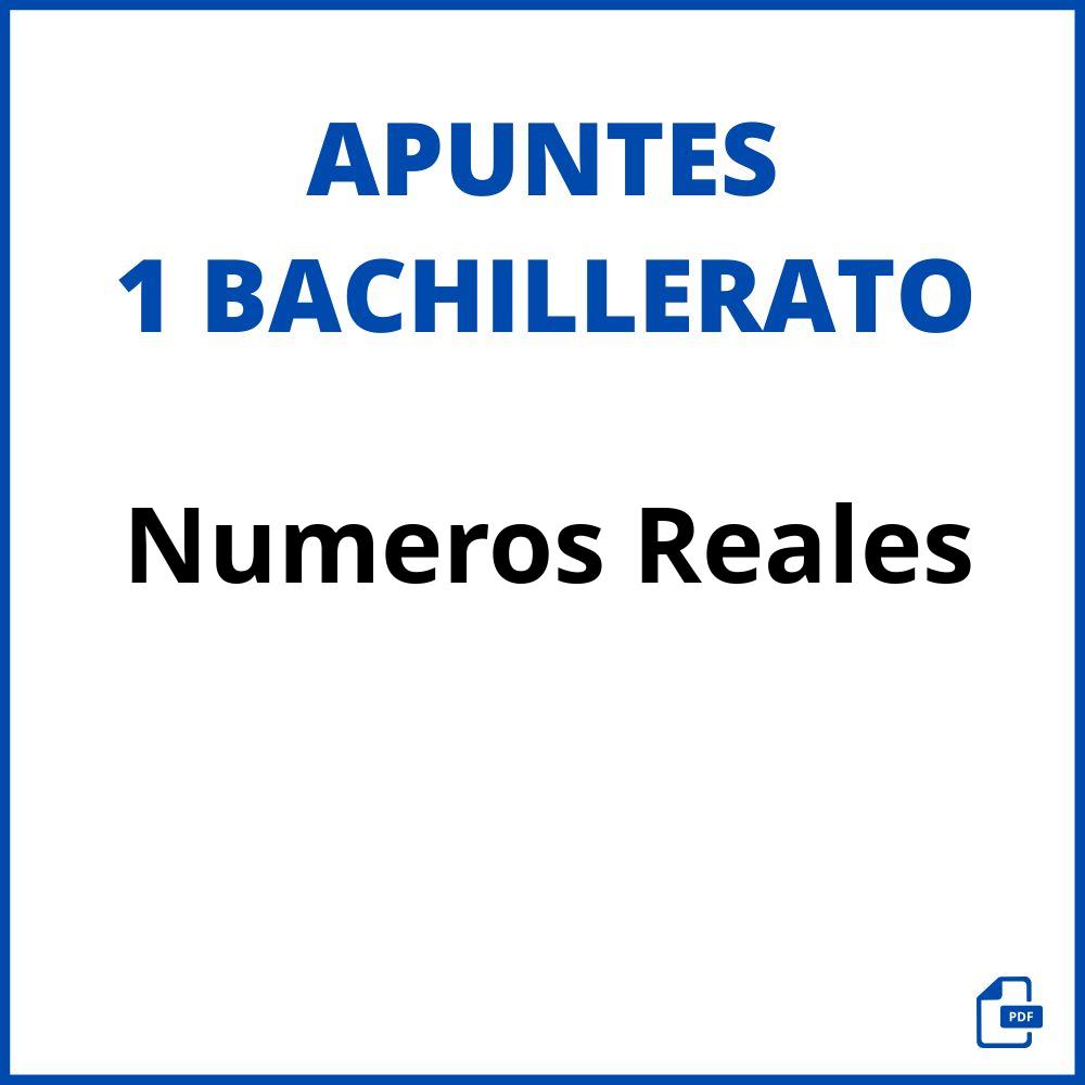 Numeros Reales 1 Bachillerato Apuntes