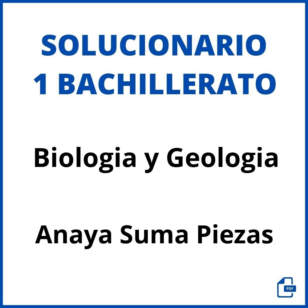 Solucionario Biologia y Geologia 1 Bachillerato Anaya Suma Piezas