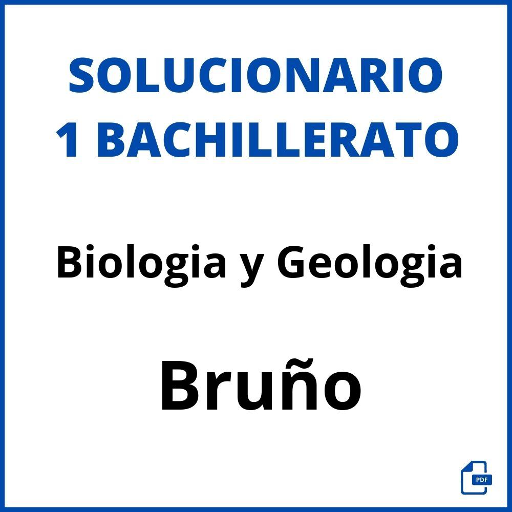 Solucionario Biologia y Geologia 1 Bachillerato Bruño