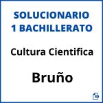 Solucionario Cultura Cientifica 1 Bachillerato Bruño