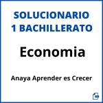 Solucionario Economia 1 Bachillerato Anaya Aprender es Crecer