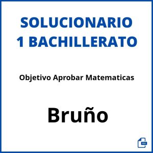 Solucionario Objetivo Aprobar Matematicas 1 Bachillerato Bruño